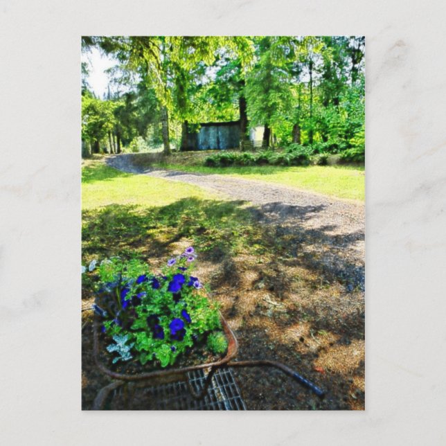 Im Wald Postkarte (Vorderseite)