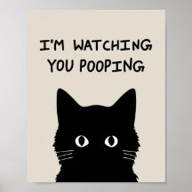 I'm watching you pooping cat
