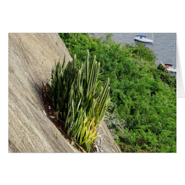 Im Zuckerlöwen (Vorderseite (Horizontal))