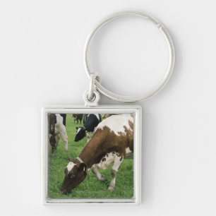 ima28991 schlüsselanhänger