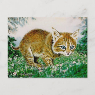 Ima Bobkitty Postkarte