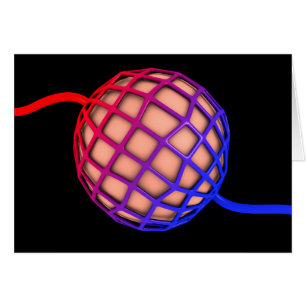 Image Conceptuelle D'Alveolus