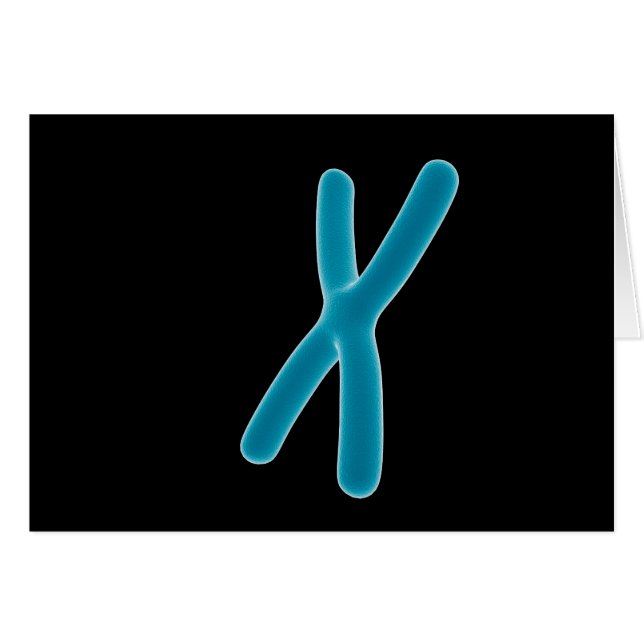 Image Conceptuelle De Chromosome 3 (Devant horizontal)