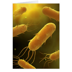 Image Conceptuelle De La Bactérie Flagellée 3