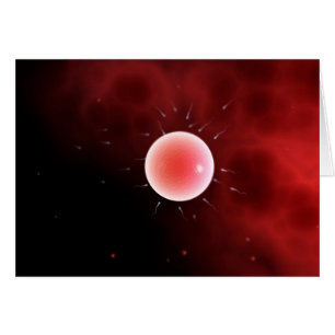 Image Conceptuelle De La Fertilisation Commune