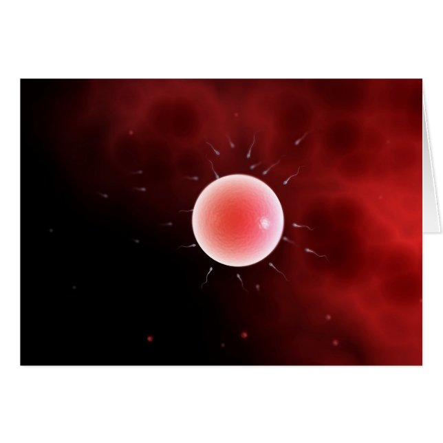 Image Conceptuelle De La Fertilisation Commune (Devant horizontal)