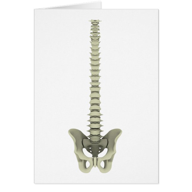 Image Conceptuelle De La Fondatrice Humaine 1 (Devant)