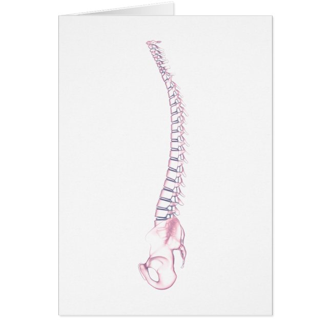 Image Conceptuelle De La Fondatrice Humaine 3 (Devant)