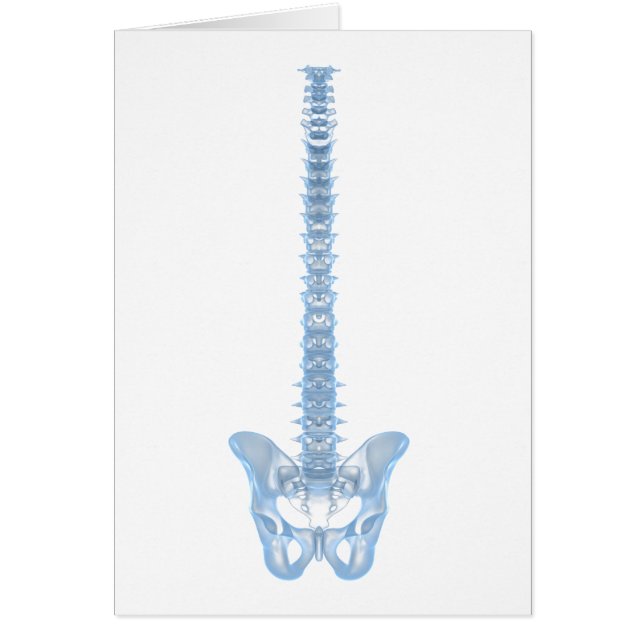 Image Conceptuelle De La Fondatrice Humaine 6 (Devant)