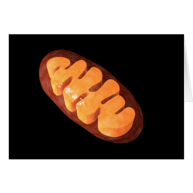 Image Conceptuelle De Mitochondria 1 (Devant horizontal)