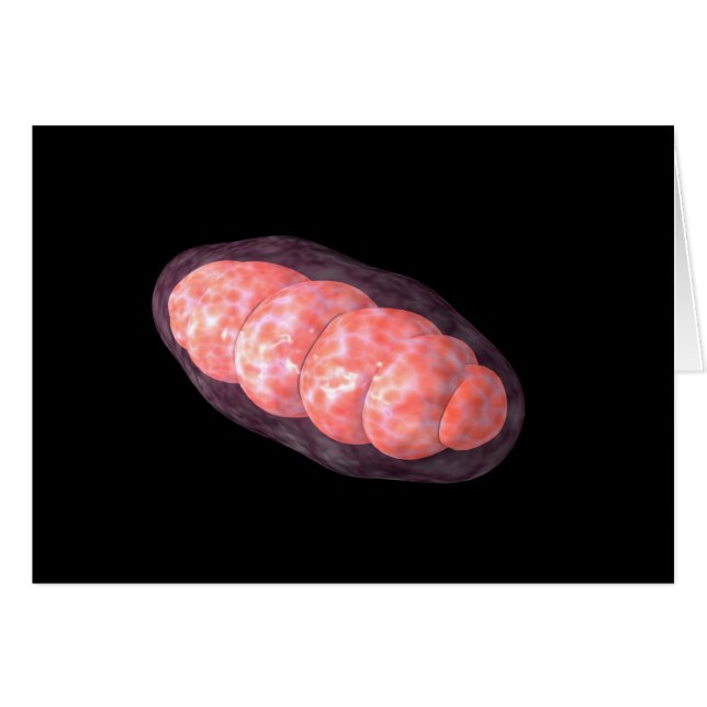 Image Conceptuelle De Mitochondria 2 (Devant horizontal)