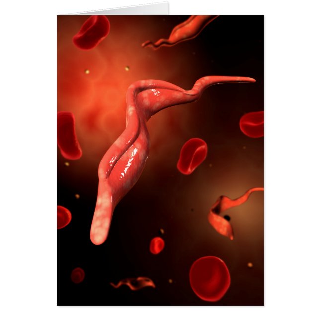Image Conceptuelle De Trypanosoma 1 (Devant)