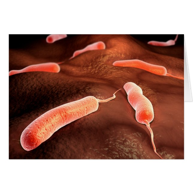 Image Conceptuelle De Vibrio Cholerae 1 (Devant horizontal)