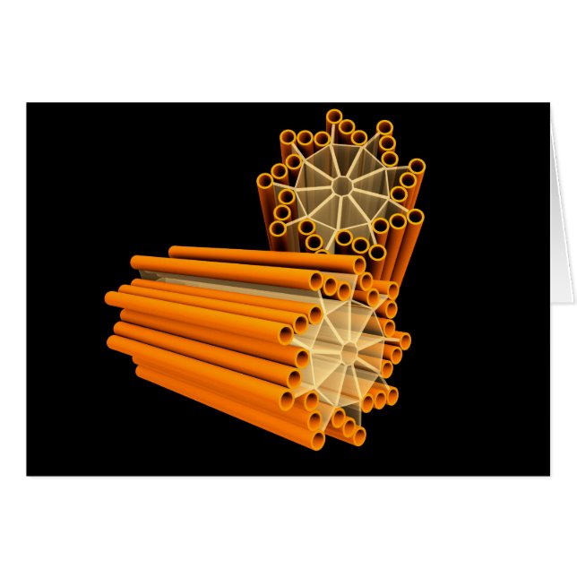 Image Conceptuelle Des Centrioles 1 (Devant horizontal)