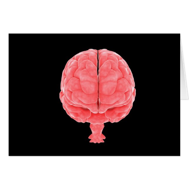 Image Conceptuelle Du Cerveau Humain 3 (Devant horizontal)