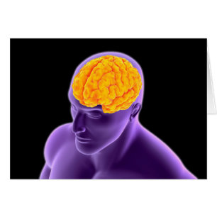 Image Conceptuelle Du Cerveau Humain 8