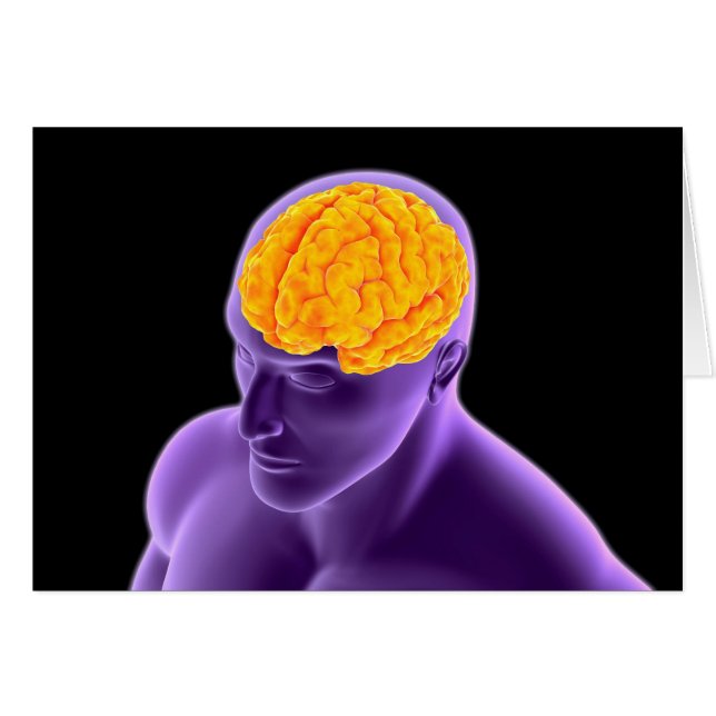 Image Conceptuelle Du Cerveau Humain 8 (Devant horizontal)