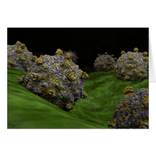 Image Conceptuelle Du Coxsackievirus 1