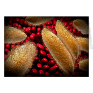 Image Conceptuelle Du Paramecium 1