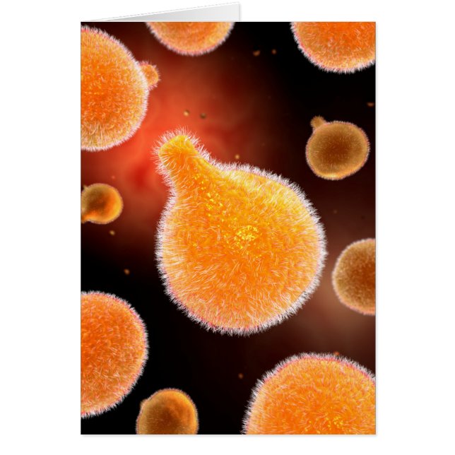 Image Conceptuelle Du Plasmodium À L'Origine Du Pa (Devant)