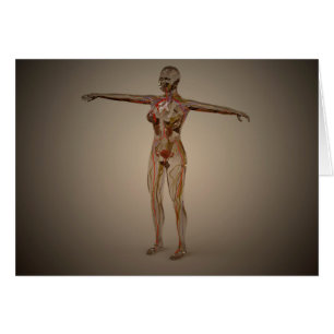 Image Conceptuelle Du Système Nerveux Humain 2