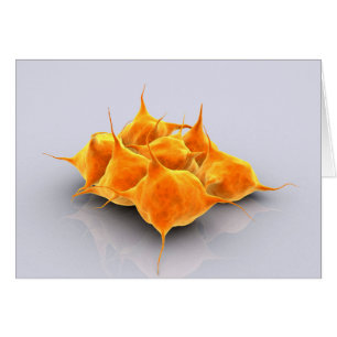 Image Conceptuelle D'Un Groupe De Platelets