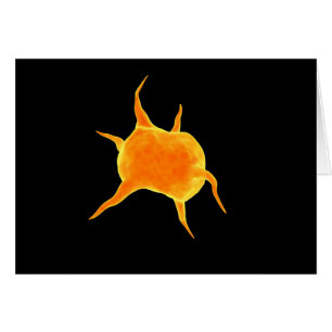 Image Conceptuelle D'Un Plateau