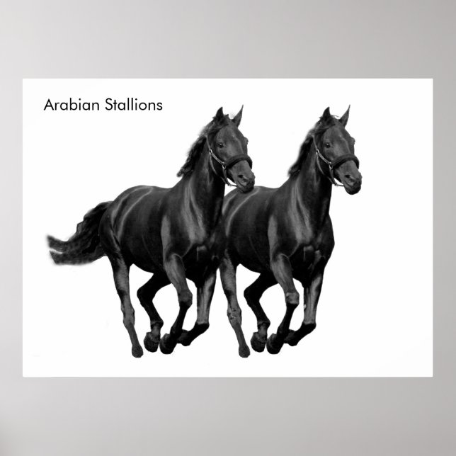 Image de cheval pour Poster (Devant)