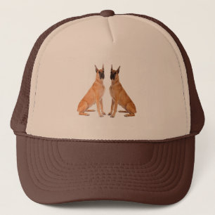 Image de chien pour le Casquette du panneau