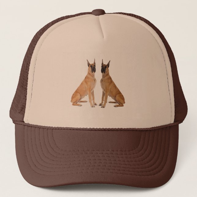 Image de chien pour le Casquette du panneau (Devant)