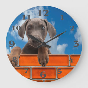Image pour animaux de compagnie pour horloge ronde
