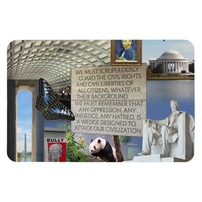 Images de Washington DC collationnées Magnet photo (Horizontal)