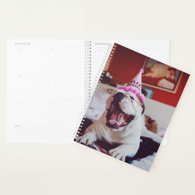 Images Getty | British Bulldog (Devant avec enveloppe)