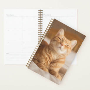 Images Getty Chat couché