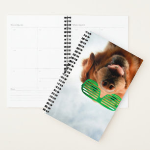 Images Getty Chien avec lunettes