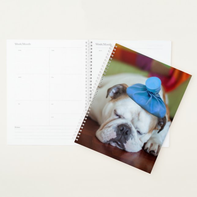 Images Getty | Sick Young Puppy (Devant avec enveloppe)