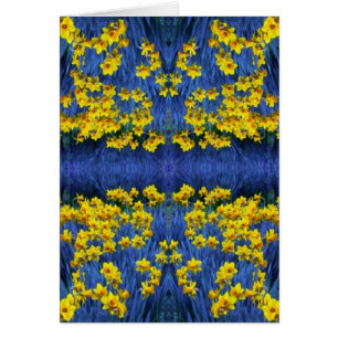 Imaginaire Daffodil Spring