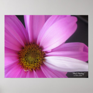 Imaginaire rose - Poster