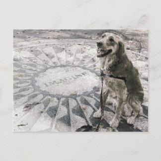 "Imagine" alias "Golden in Strawberry Fields" Postkarte