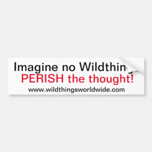 IMAGINE - Autoaufkleber