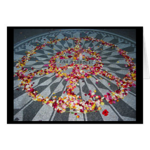 imaginez les pétales