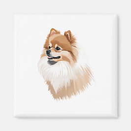 Imán ilustración perro pomerania magnet