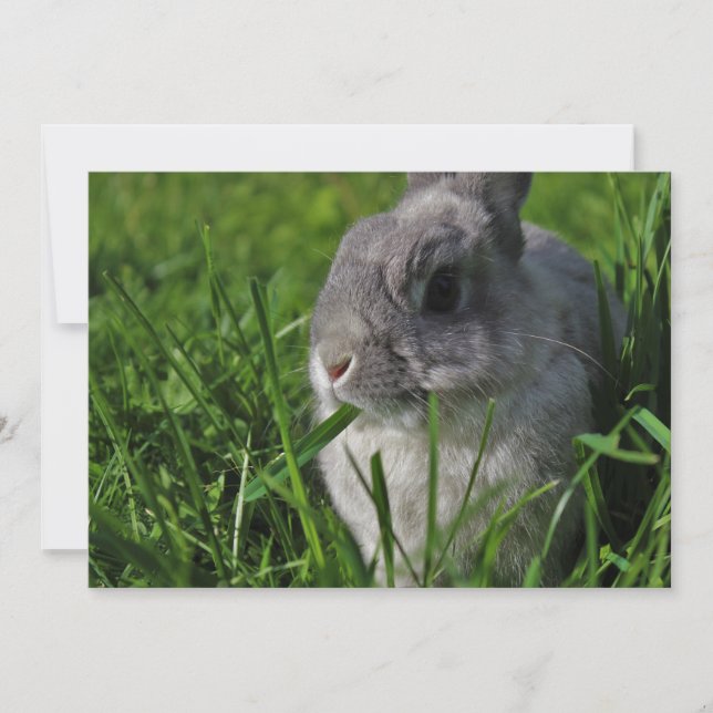 Imbiss-Zeit Einladung (Vorderseite)