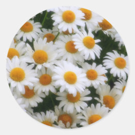 IMG_0066 Daisy Lovers Runder Aufkleber