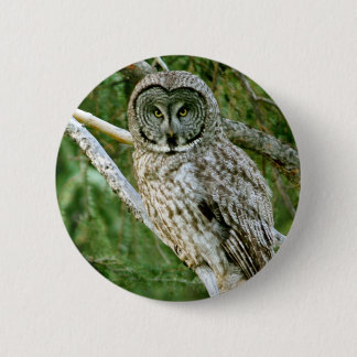 IMG_0297_2 BUTTON