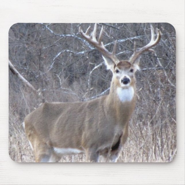 IMG_0327 MOUSEPAD (Vorne)