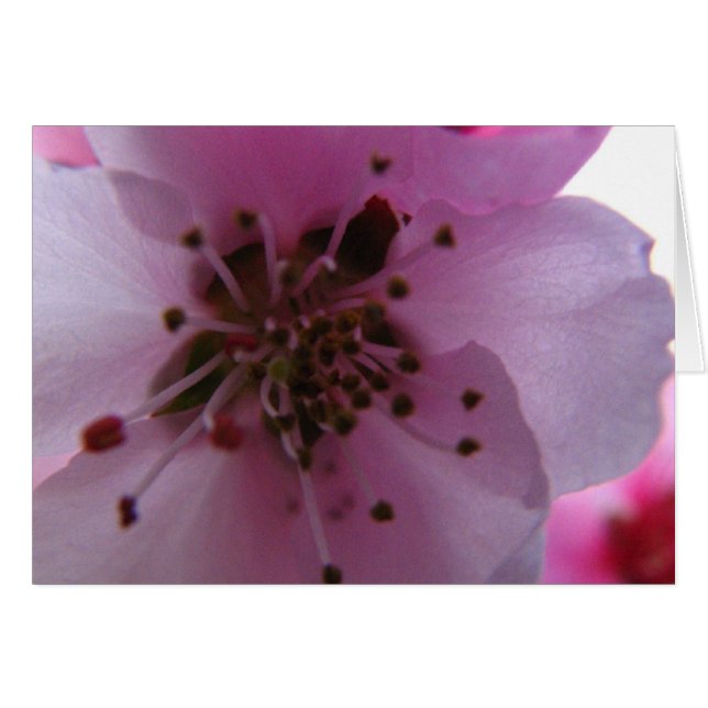 IMG_037_3 (Vorderseite (Horizontal))