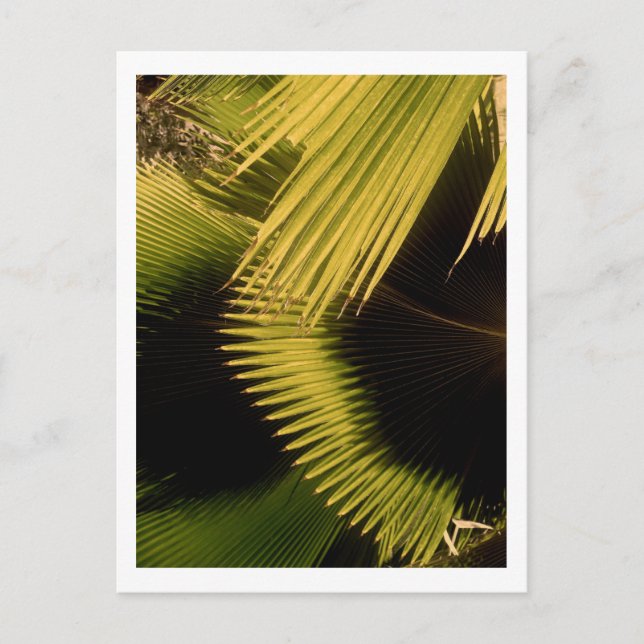 IMG_0453 POSTKARTE (Vorderseite)