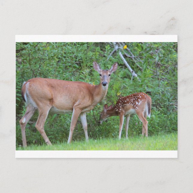 IMG_0494_1 POSTKARTE (Vorderseite)