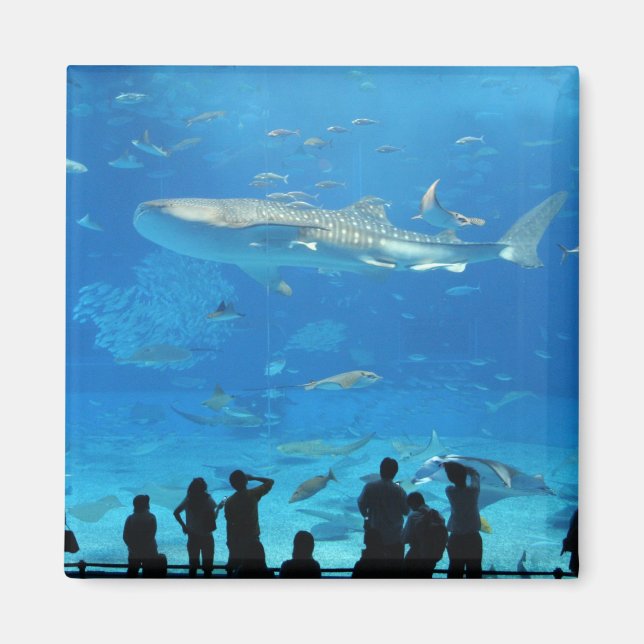 IMG_0598 MAGNET (Vorne)